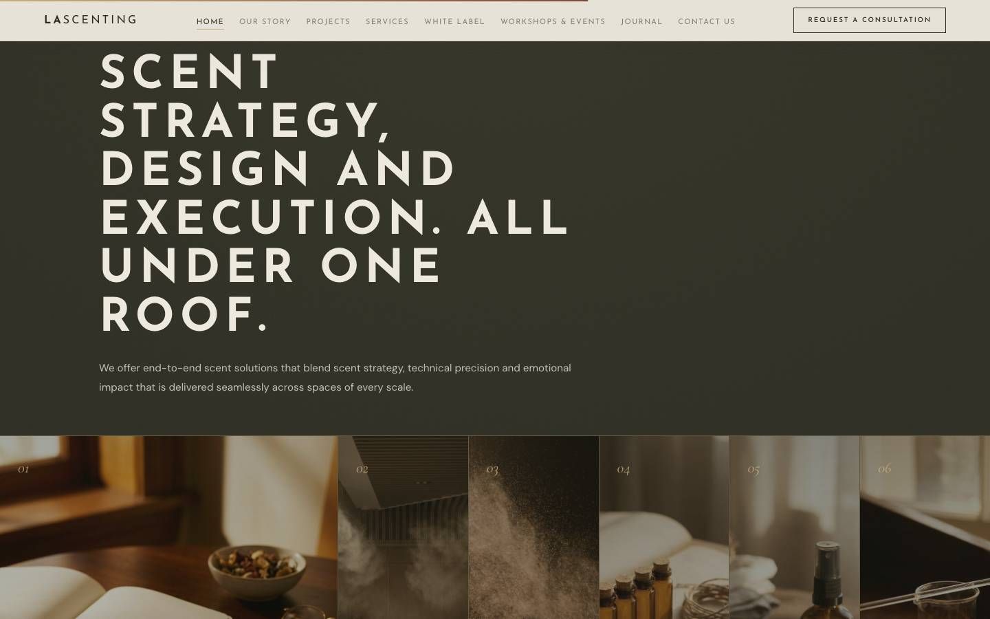 Services on a dark olive block with an image strip